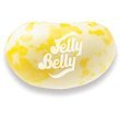Wockenfuss Candies Jelly Belly – Buttered Popcorn logo