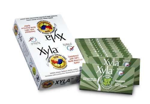 Xyla Gum With Xylitol, Spearmint, 12-piece Packs (Pack of 6) logo