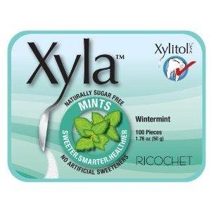 Xylitol Mints, Wintermint 100-count (Pack of 6) logo