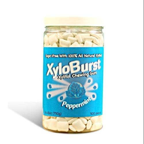 Xyloburst Spearmint Gum Jar, 500 Count logo
