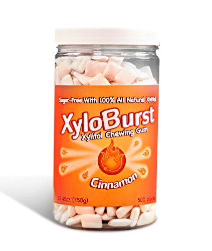 Xyloburst Xylitol Gum Jar, Cinnamon, 500 Count logo