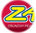 Zagnut 24-bars logo