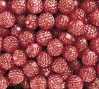 Filled Red Raspberries logo
